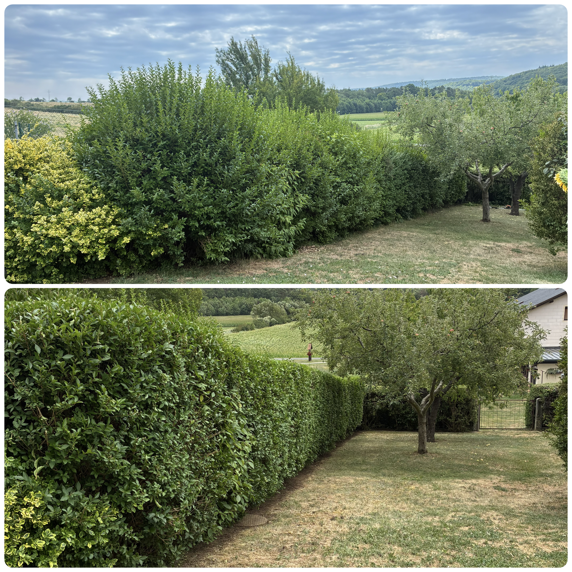 Gartenarbeit